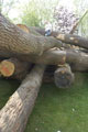 Click to see it big Impression aus dem Atelier